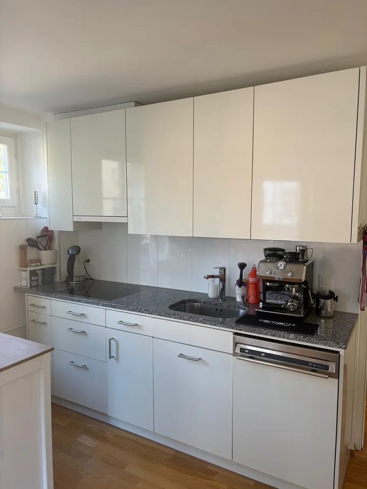 Helle 3-Zimmer-Wohnung mit Terrasse am Limmatplatz