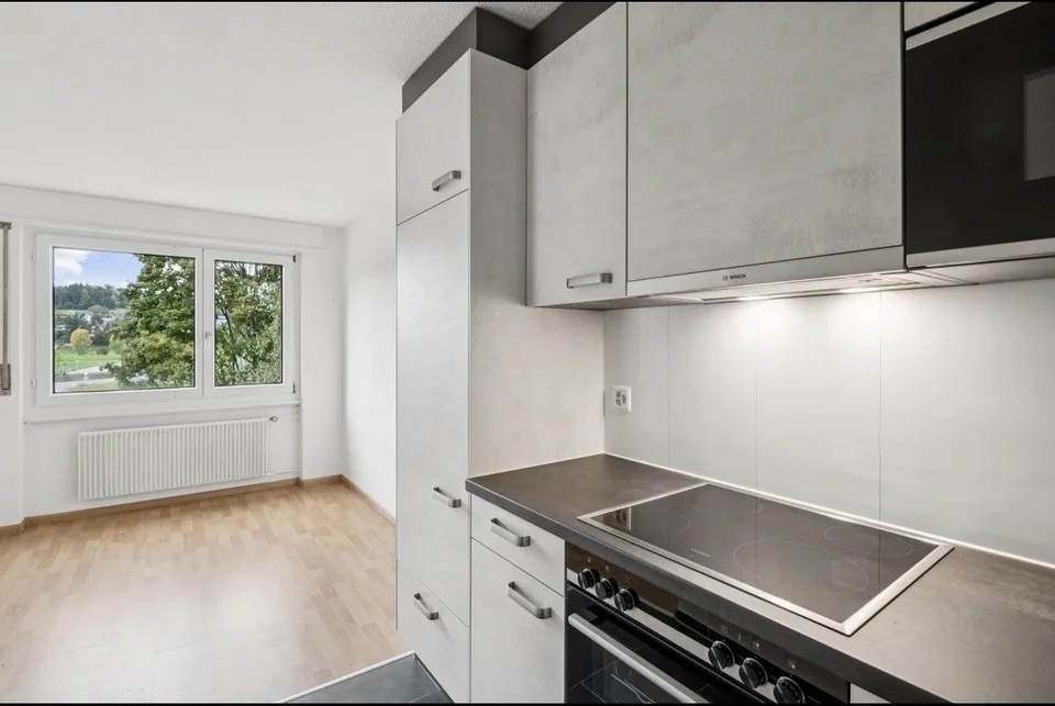 Nachmieter gesucht für eine schöne 2.5-Zimmer-Wohnung in Mellingen
