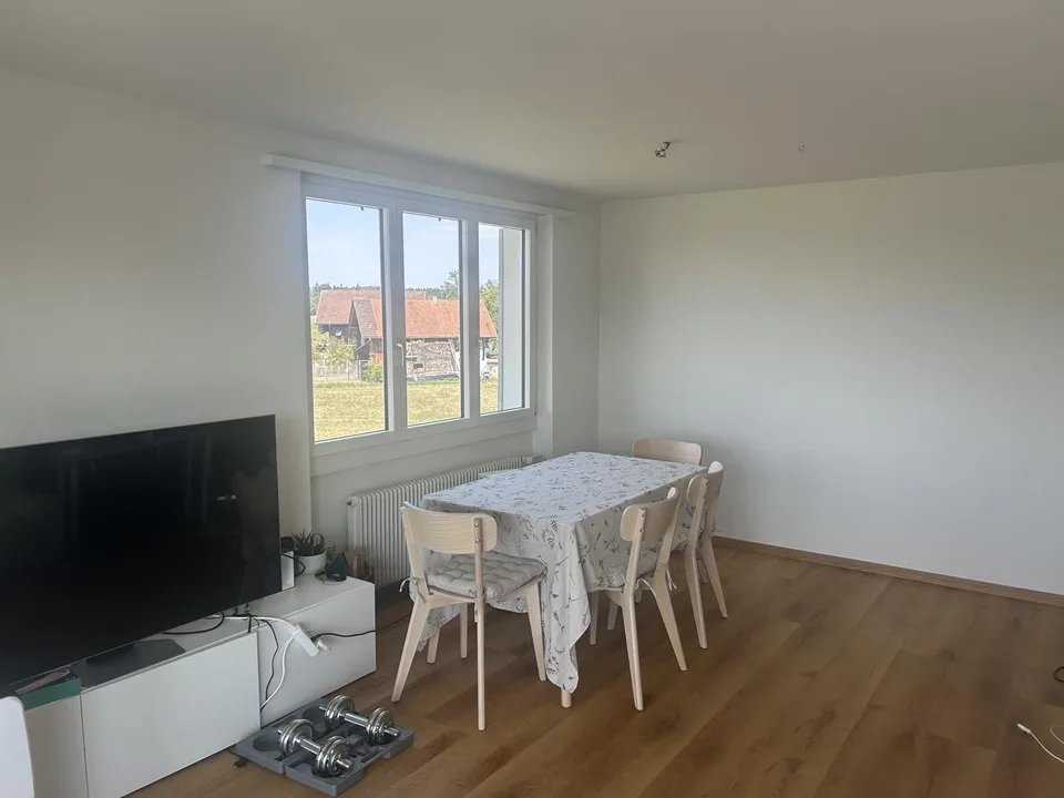 Nachmieter gesucht – schöne 3.5-Zimmer-Wohnung in Zug