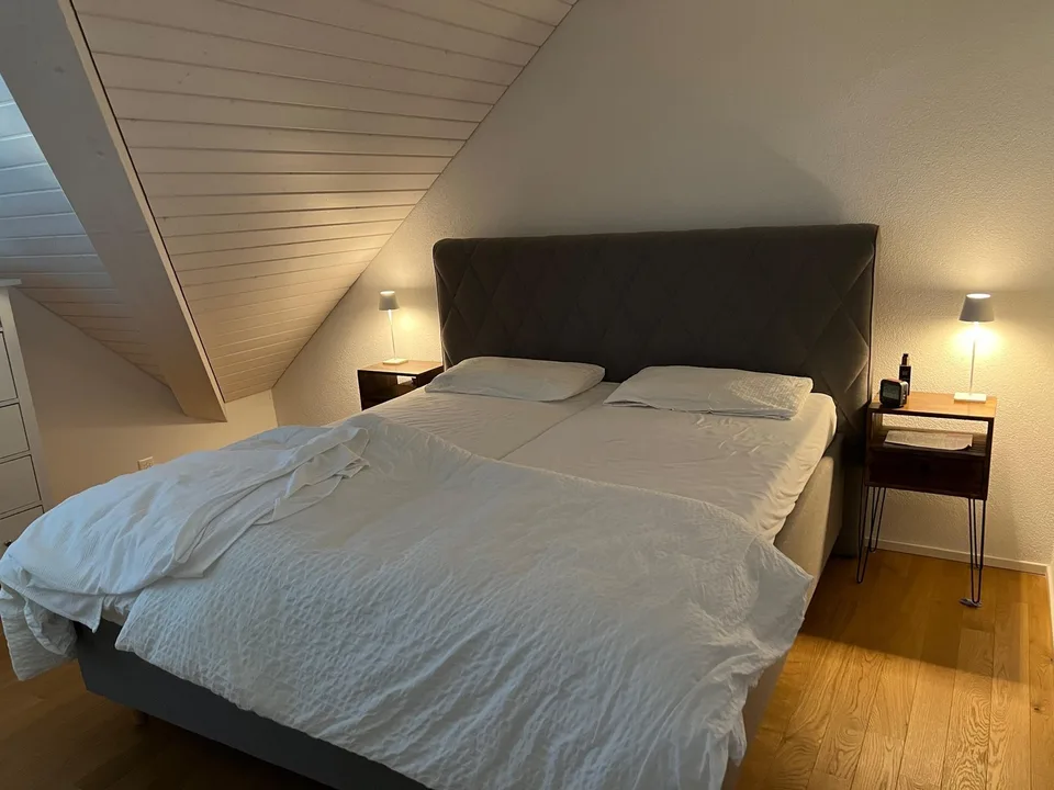 Grosszügige 3.5 Zimmer Dachwohnung