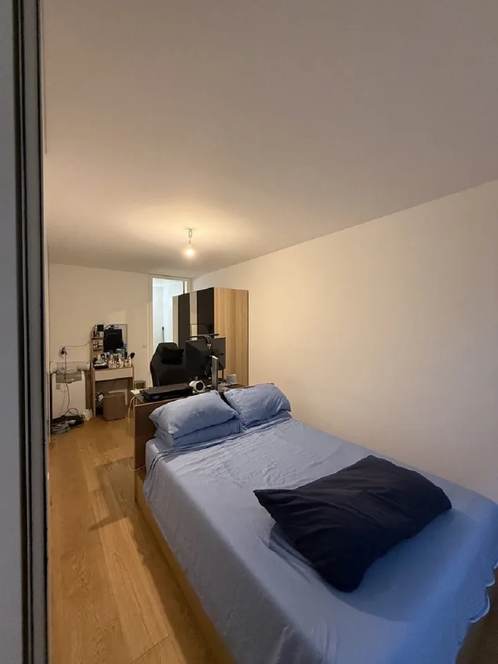 "Charmant appartement de 3 pièces au cœur de Genève – Grand-Rue "