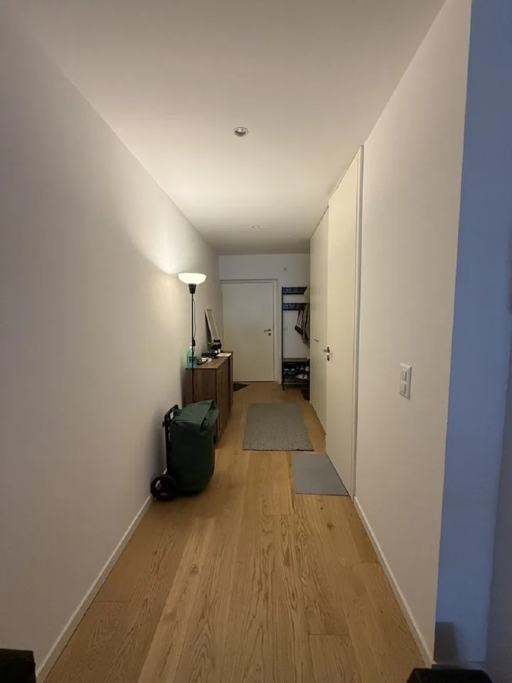 "Charmant appartement de 3 pièces au cœur de Genève – Grand-Rue "