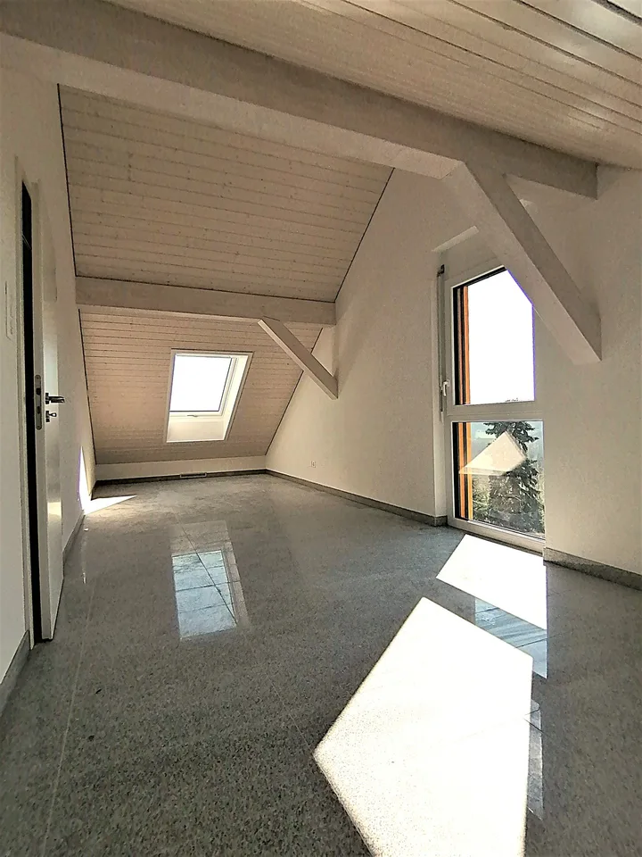 Magnifique villa d'architecte à louer proche de Lausanne
