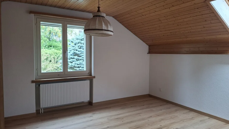 3-Zimmer Einlieger-Hausteil im ruhigen Gisidal (oberhalb Neu-Elgg)
