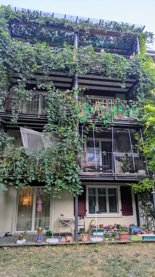 3-Zimmerwohnung in Birsfelden/Basel