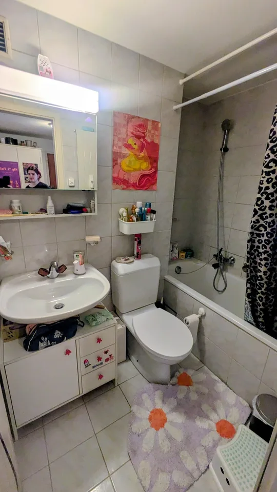 3-Zimmerwohnung in Birsfelden/Basel