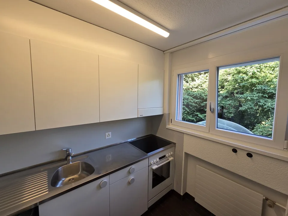 For rent 3.5 zimmer apartment - pets available