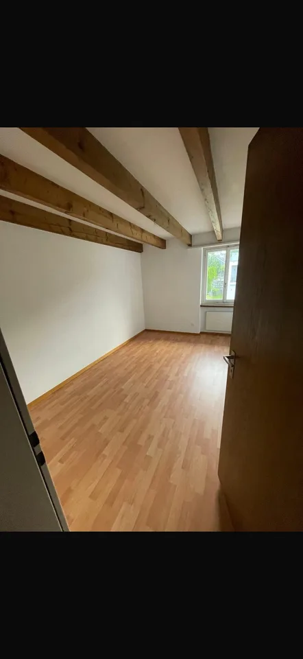 4.5 Zimmer Wohnung in Adetswil
