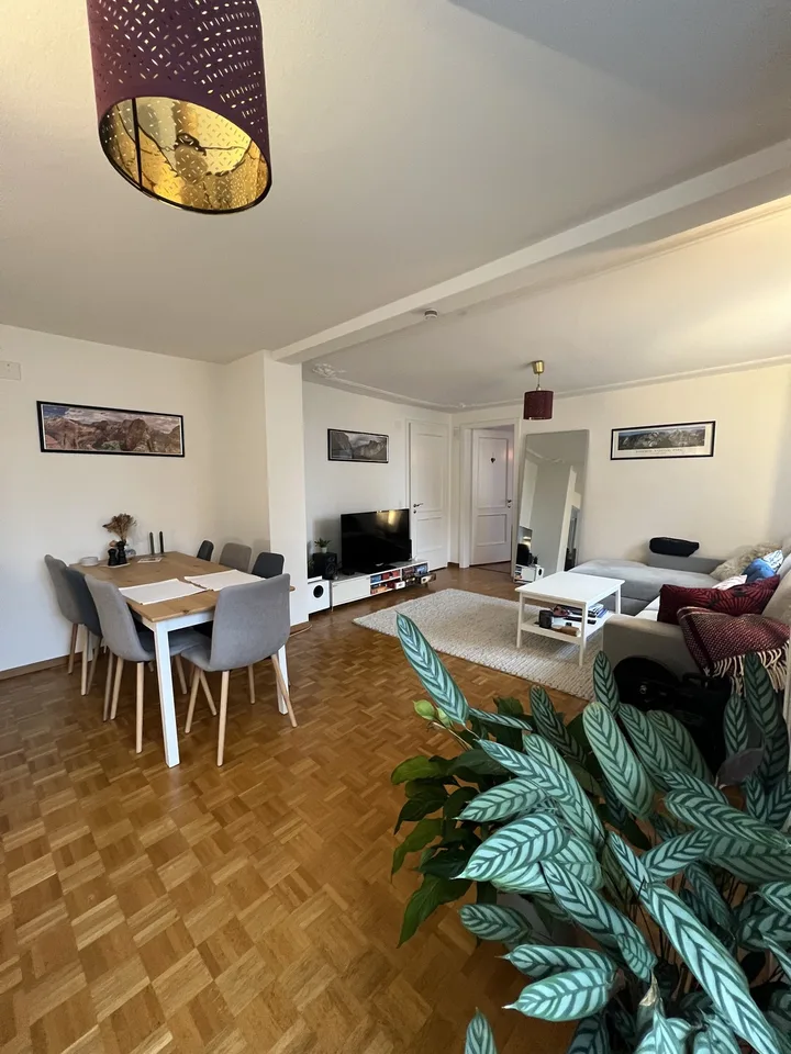 Wohnen in Zürich-Fluntern - im Kreis 7