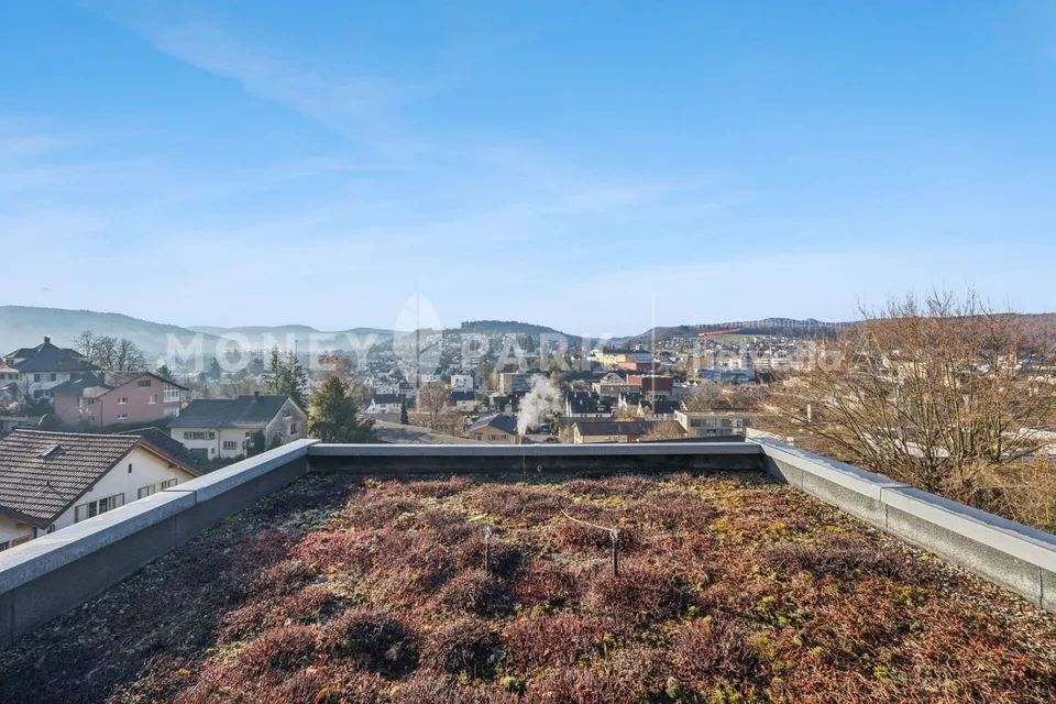 Terrassenwohnung mit Panoramablick über Liestal