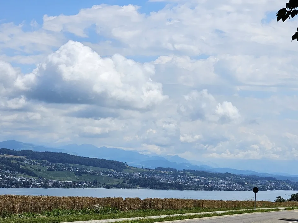 8820 wädenswil (ZürichSee) - CHF 850 inkl. NK pro Monat