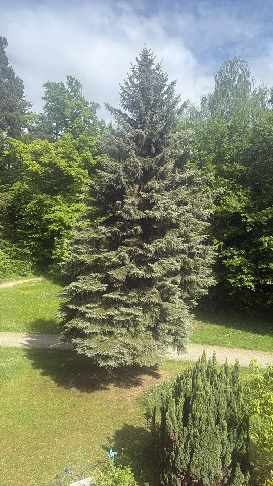 🏡 Nachmieter per sofort gesucht – wunderschöne 3-Zimmer-Wohnung direkt am Wald 🌲