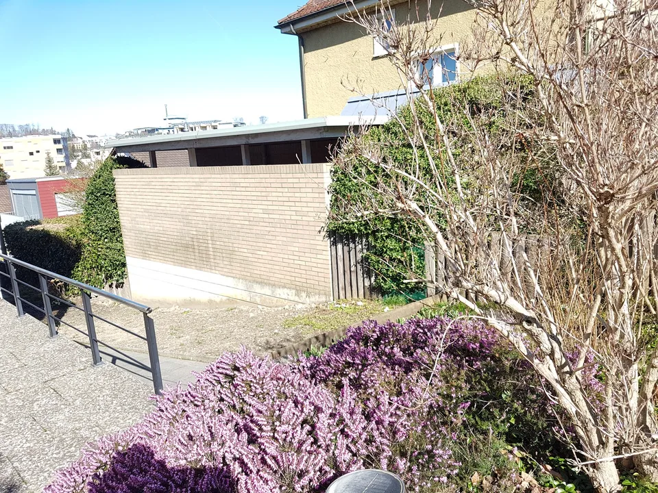 A furnished WG-room in Adliswil (Zurich land) is available from 1. October 2026