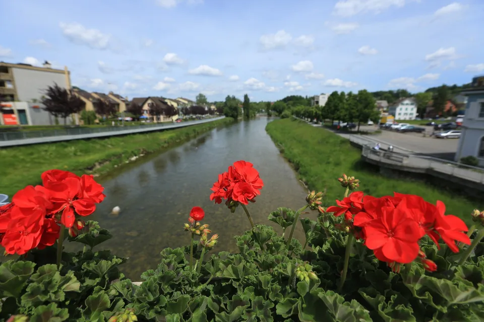 A furnished WG-room in Adliswil (Zurich land) is available from 1. October 2026