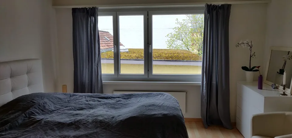 2 months (Mid September to Mid November) Sublet for central furnished apartment in Zurich