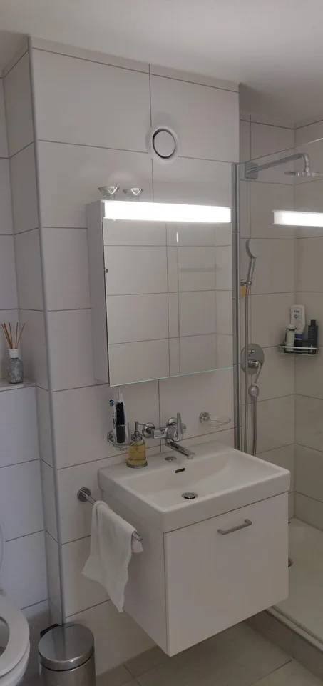 2 months (Mid September to Mid November) Sublet for central furnished apartment in Zurich