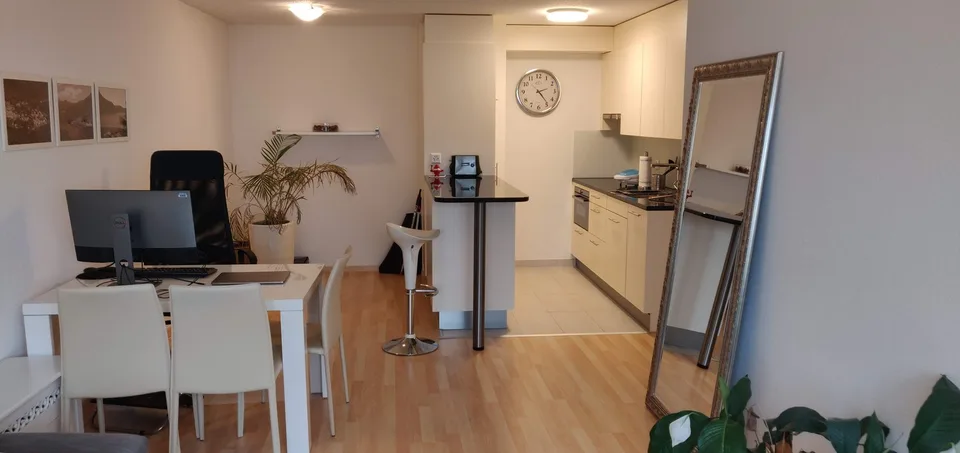 2 months (Mid September to Mid November) Sublet for central furnished apartment in Zurich