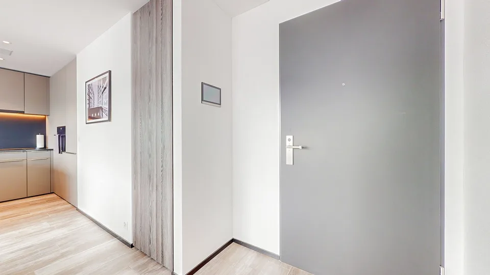Rent a 2 rooms apartment in Dübendorf
