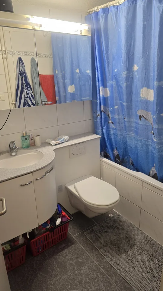 Grosszügiges WG-Zimmer im Herzen von Höngg zu vermieten