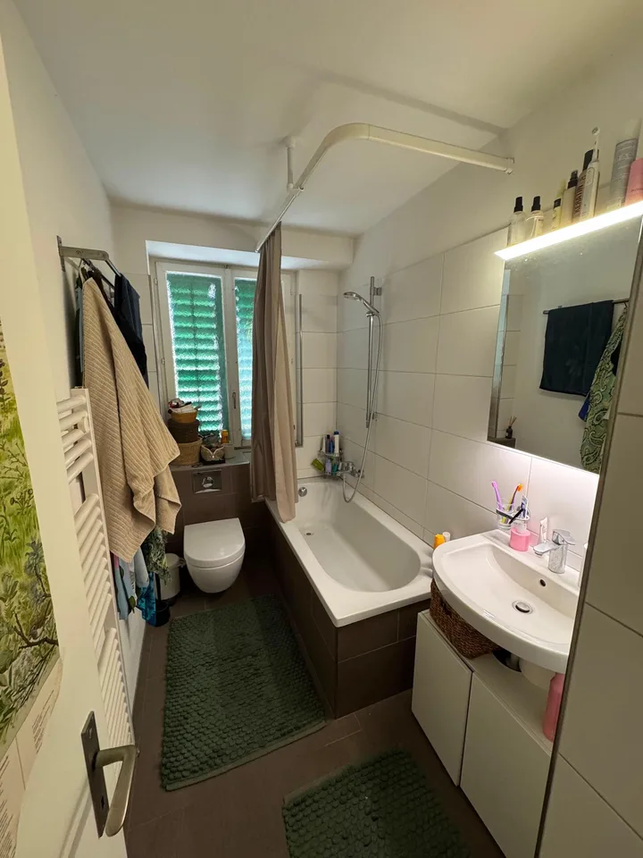 Helle 3.5-Zimmer-Wohnung mit zwei Balkonen – nahe Lochergut