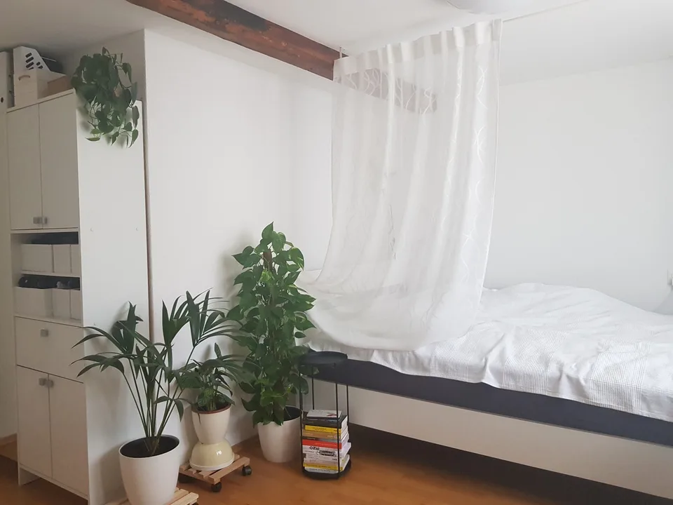 Studiowohnung in EG von Einfamilienhaus, eigene Waschmaschine + Geschirrspüler