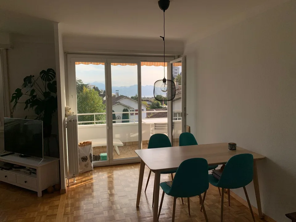 Charmant et lumineux appartement dans quartier calme
