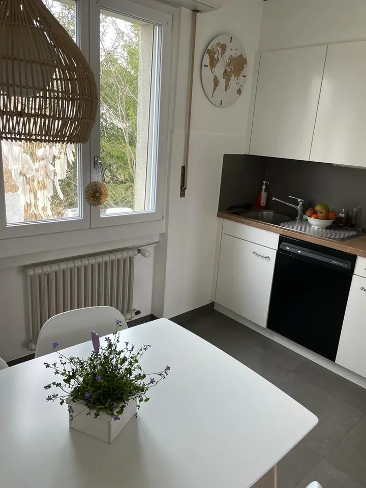 Charmant et lumineux appartement dans quartier calme