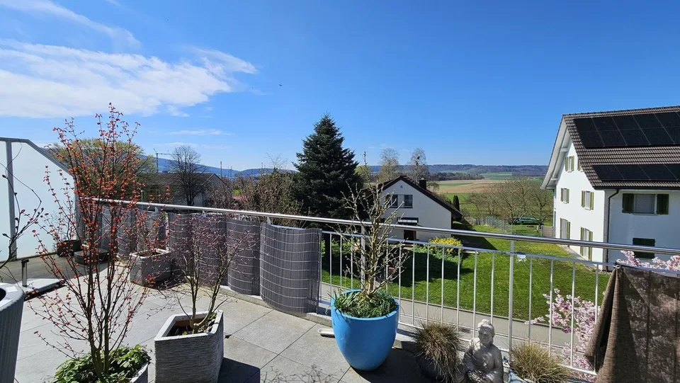 3½ ZI-WOHNUNG IN SCHNEISINGEN (AG), MÖBLIERT, TEMPORÄR – foto 10 di 10