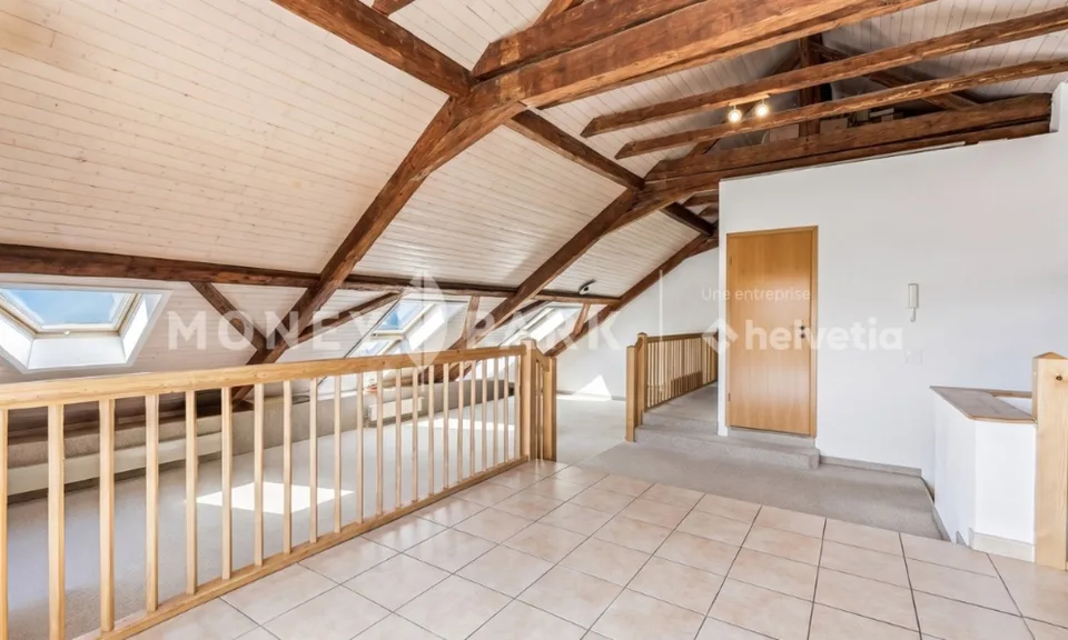 Magnifique appartement dans les combles