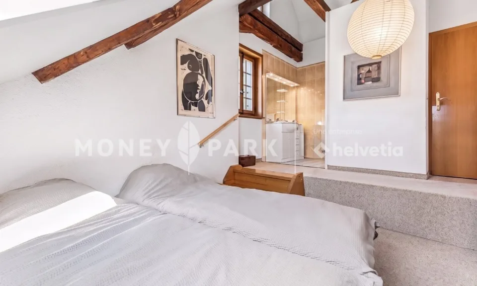 Magnifique appartement dans les combles