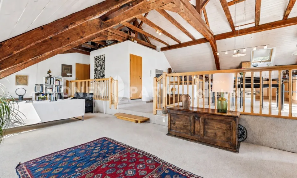 Magnifique appartement dans les combles