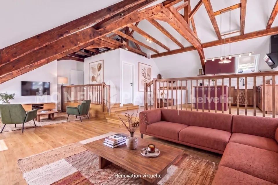Magnifique appartement dans les combles