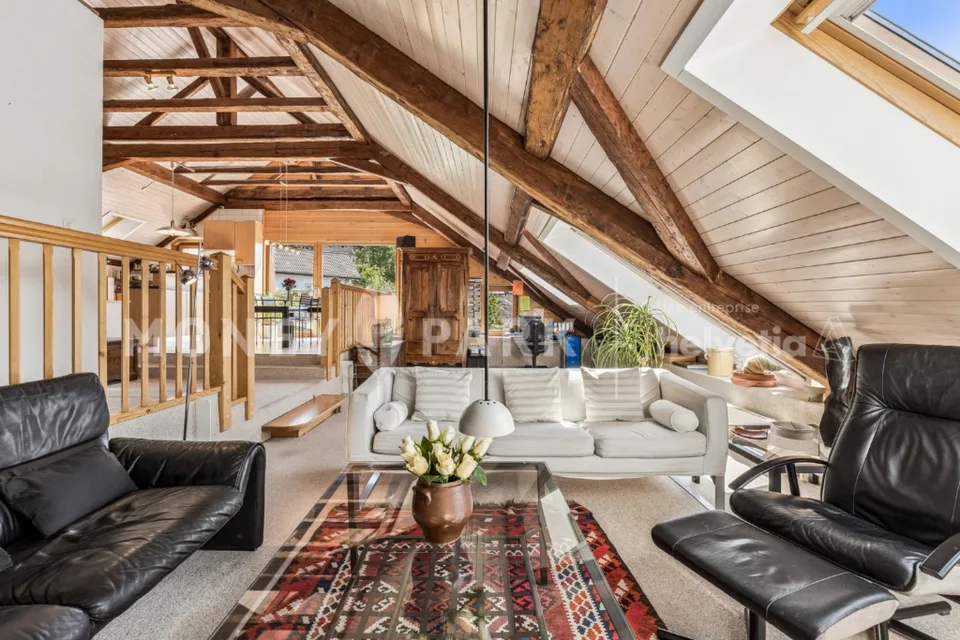 Magnifique appartement dans les combles