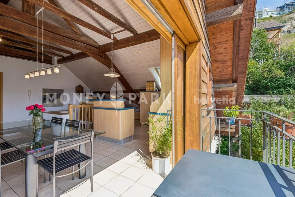 Magnifique appartement dans les combles