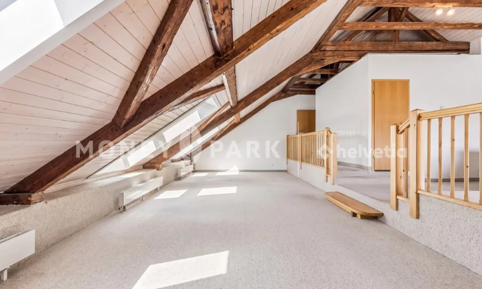 Magnifique appartement dans les combles