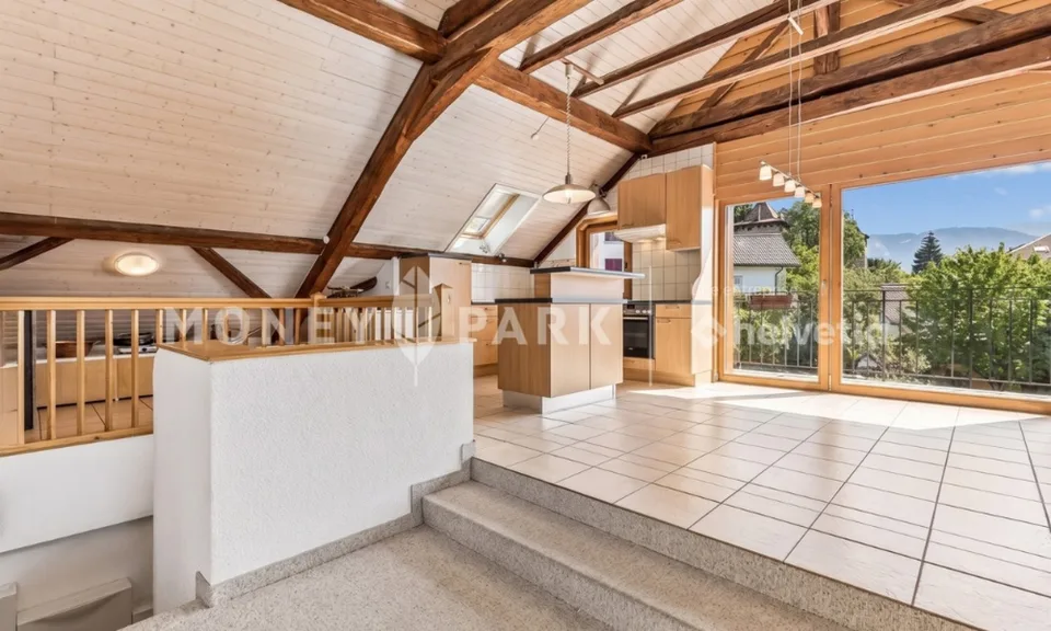Magnifique appartement dans les combles