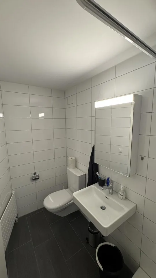 2.5-Zimmer-Wohnung in Solothurn mit zentraler Lage - Nachmieter gesucht