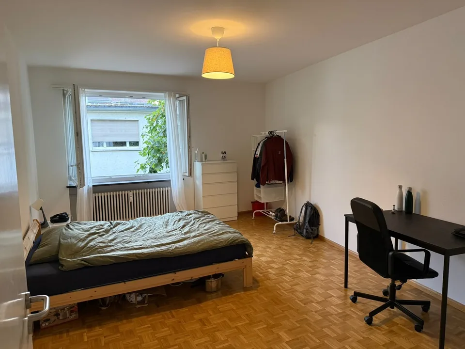 Fully furnished room in Basel city centre with all bills included + cleaning