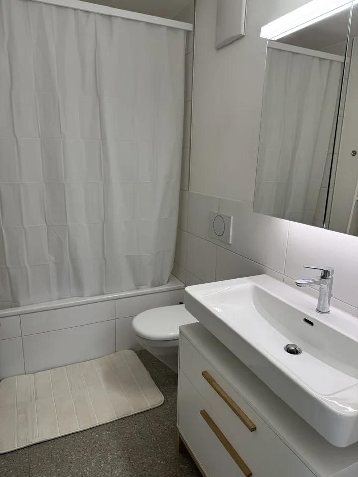 2½ ZI-WOHNUNG IN LUZERN, MÖBLIERT, TEMPORÄR
