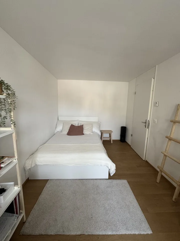 2½ ZI-WOHNUNG IN LUZERN, MÖBLIERT, TEMPORÄR