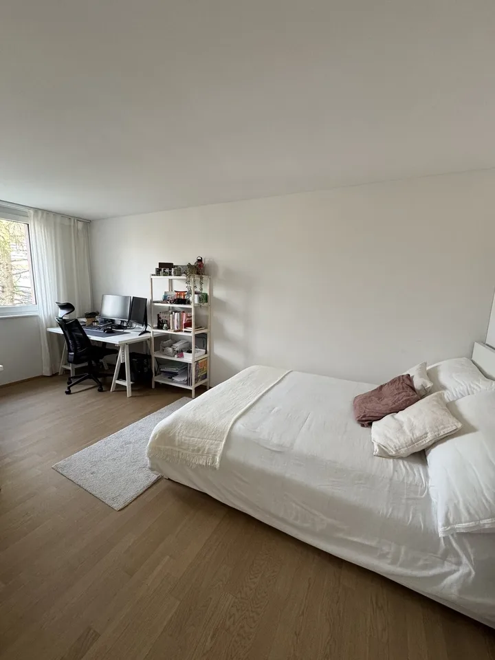 2½ ZI-WOHNUNG IN LUZERN, MÖBLIERT, TEMPORÄR