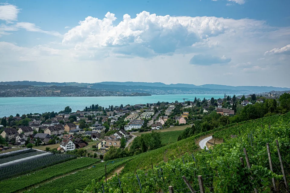 Natur, Ruhe und Seesicht mit viel Platz für Mensch und Tier