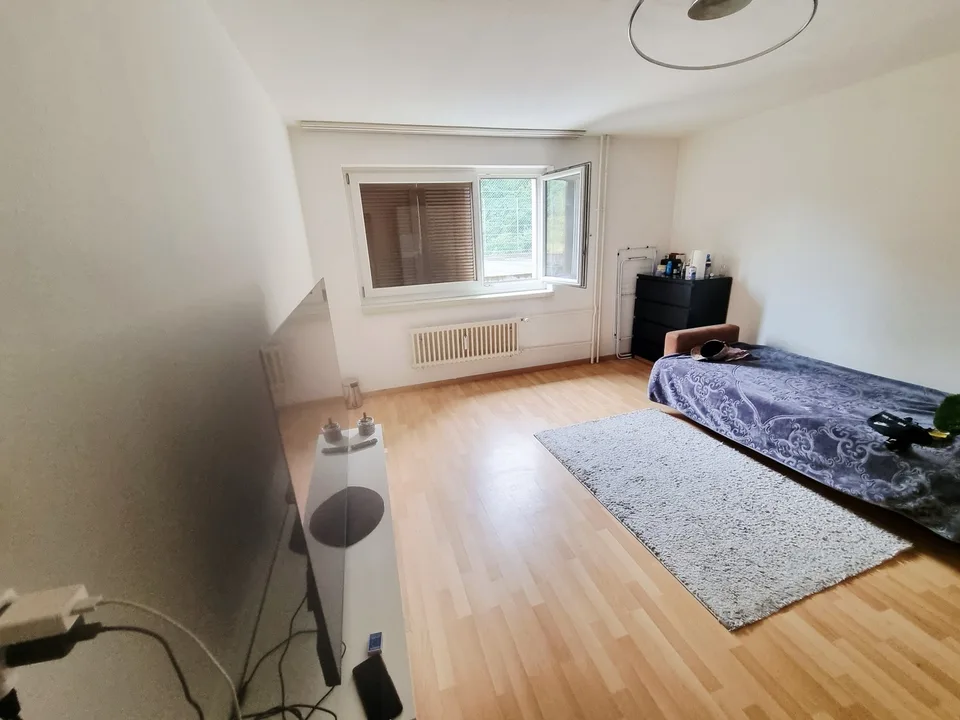Komfortable Wohnung in der grünen Natur