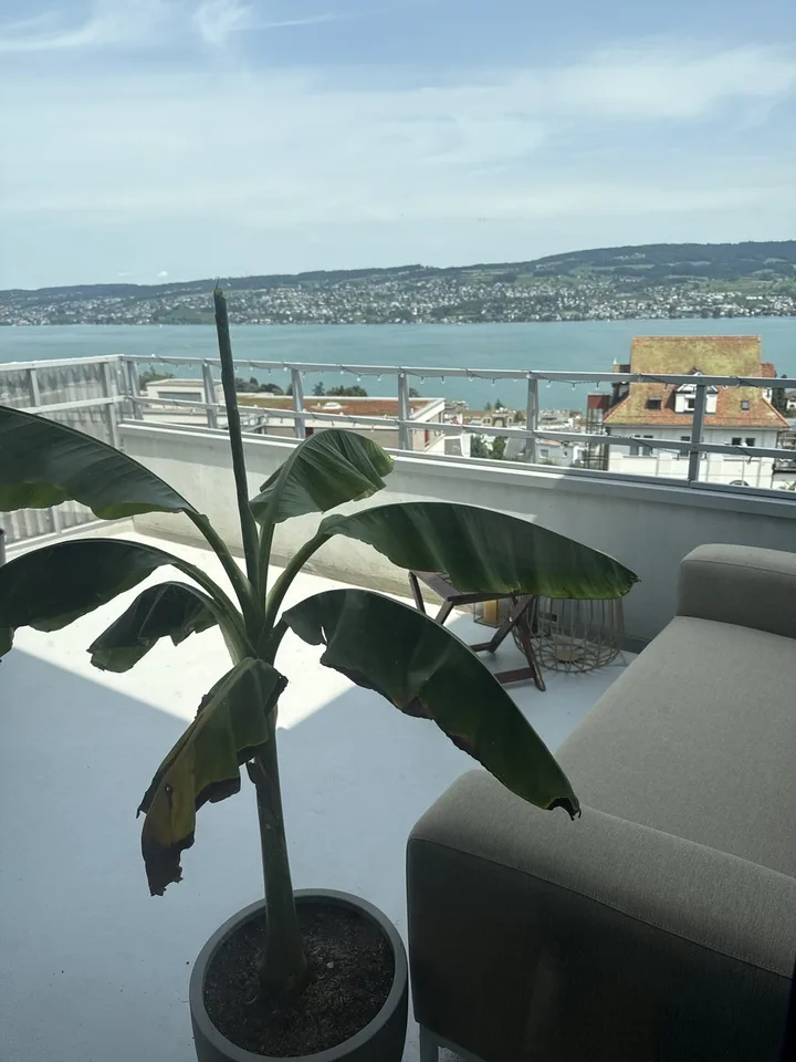 Temporary 2.5-room apartment with lake view in Horgen Oberdorf