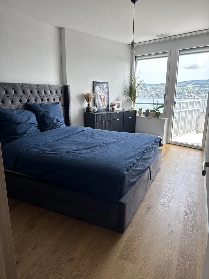 Temporary 2.5-room apartment with lake view in Horgen Oberdorf