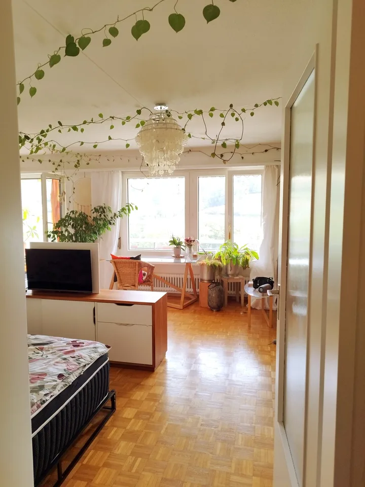 Gemütliche 1,5-Zimmer-Wohnung mit grossem Balkon