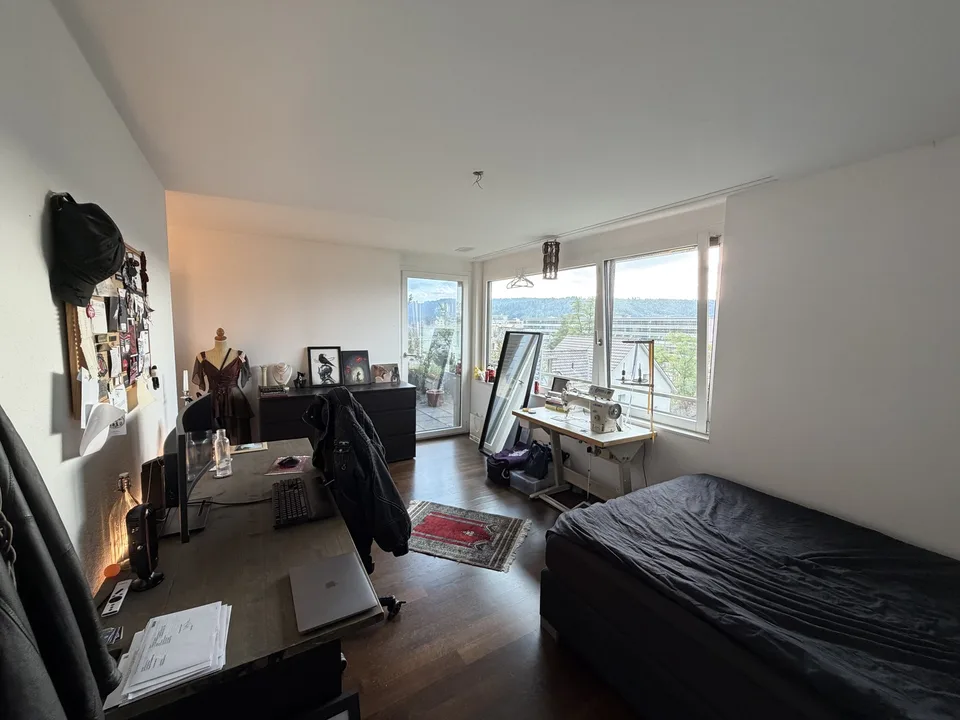 Lichtdurchflutete 4.5-Zimmer-Attikawohnung mit zwei grosszügigen Terrassen in Winterthur