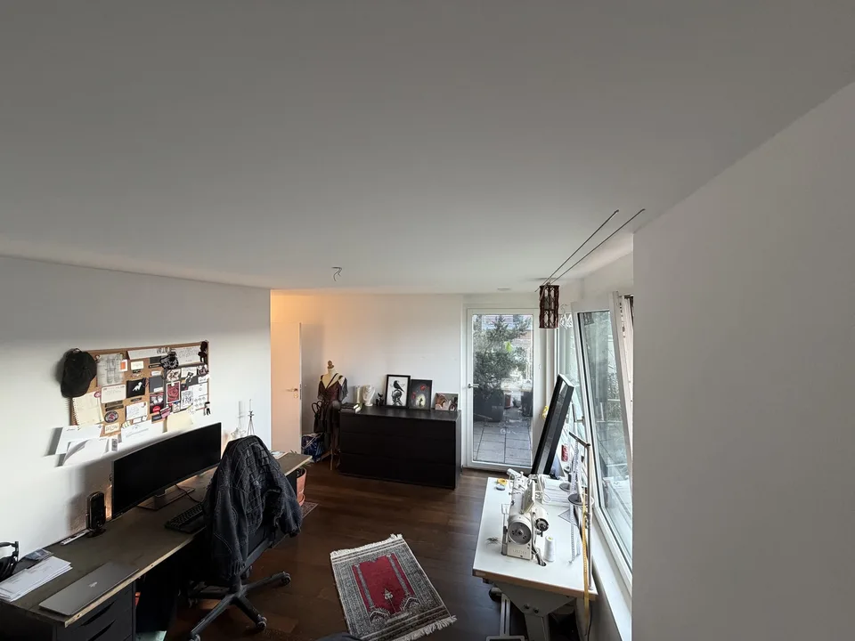 Lichtdurchflutete 4.5-Zimmer-Attikawohnung mit zwei grosszügigen Terrassen in Winterthur