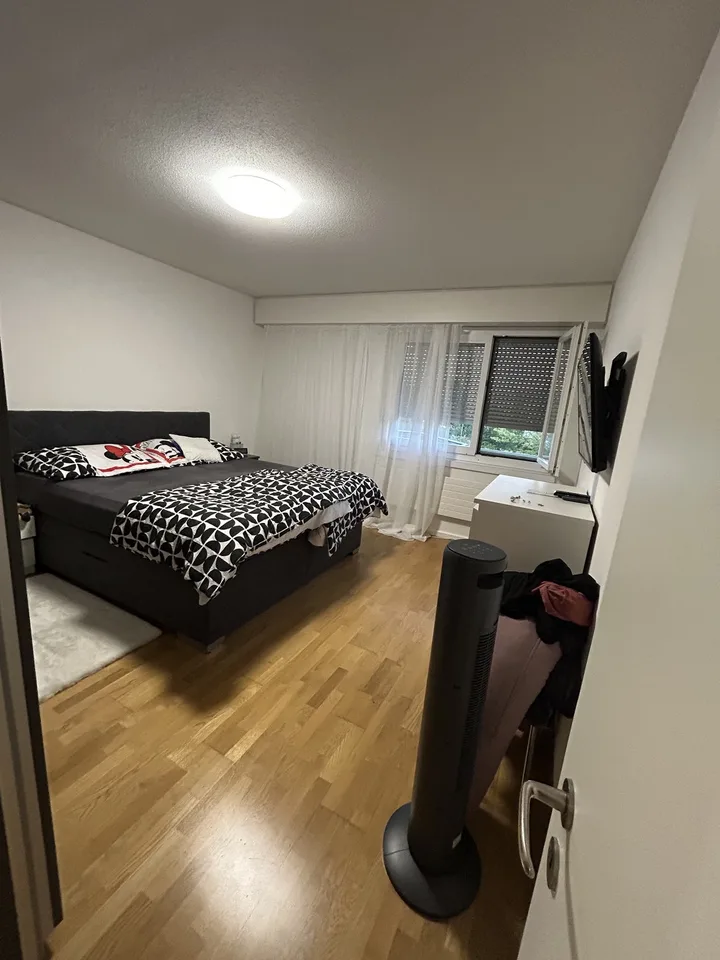 Helle 4.5 Zimmerwohnung