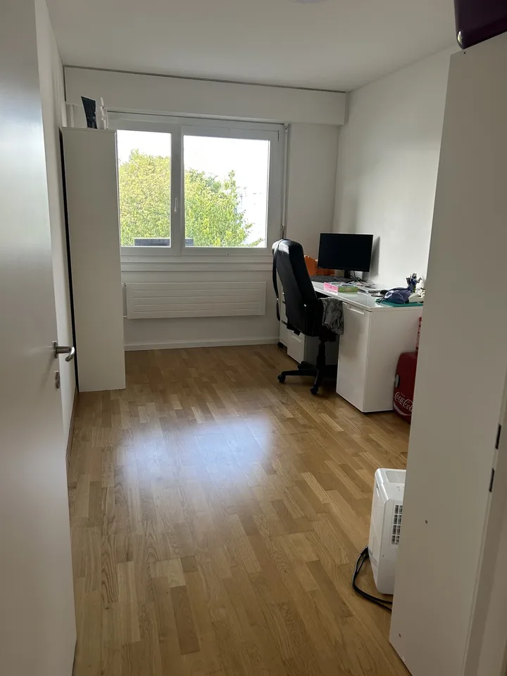 Helle 4.5 Zimmerwohnung